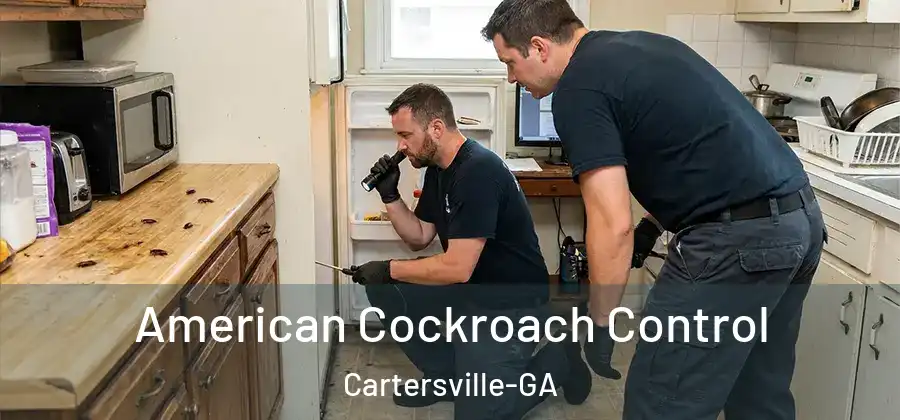 American Cockroach Control Cartersville-GA