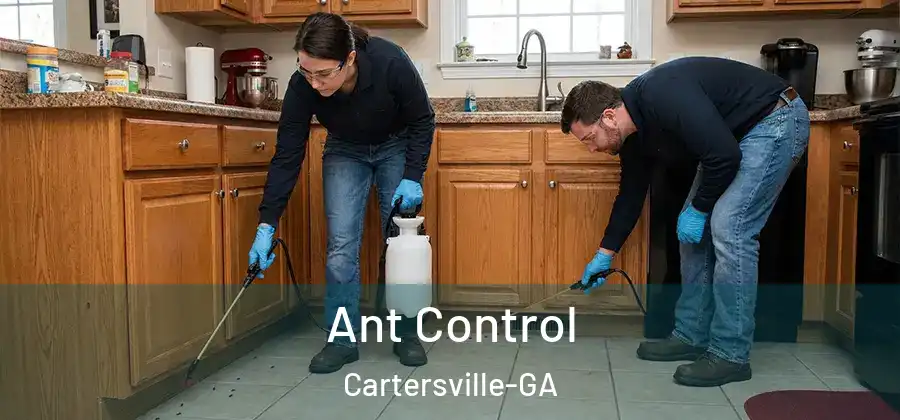  Ant Control Cartersville-GA