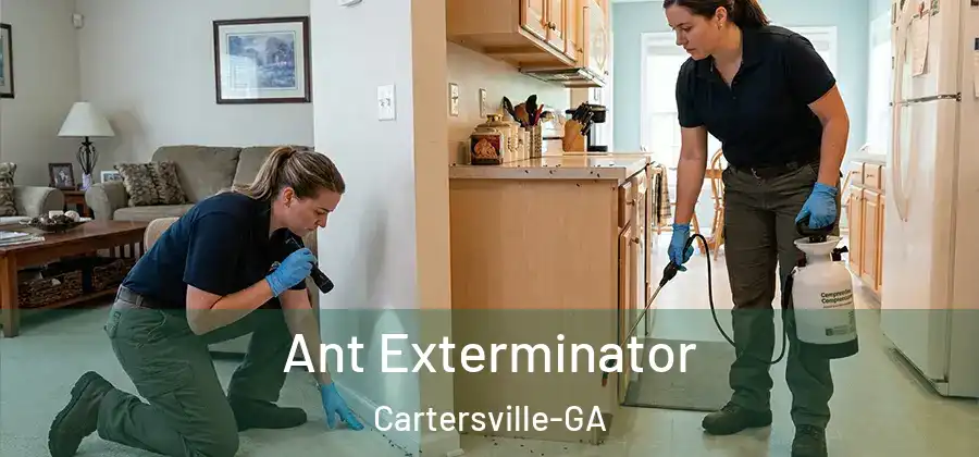  Ant Exterminator Cartersville-GA