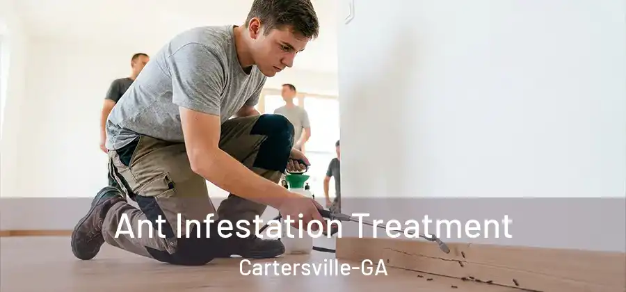 Ant Infestation Treatment Cartersville-GA