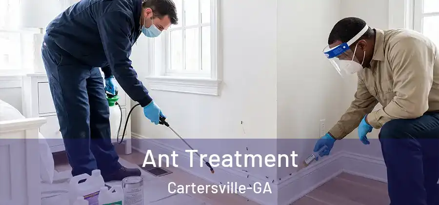  Ant Treatment Cartersville-GA