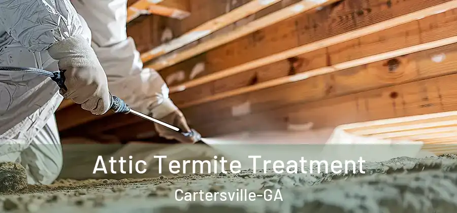 Attic Termite Treatment Cartersville-GA