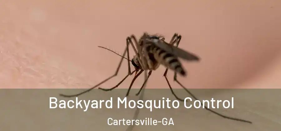  Backyard Mosquito Control Cartersville-GA