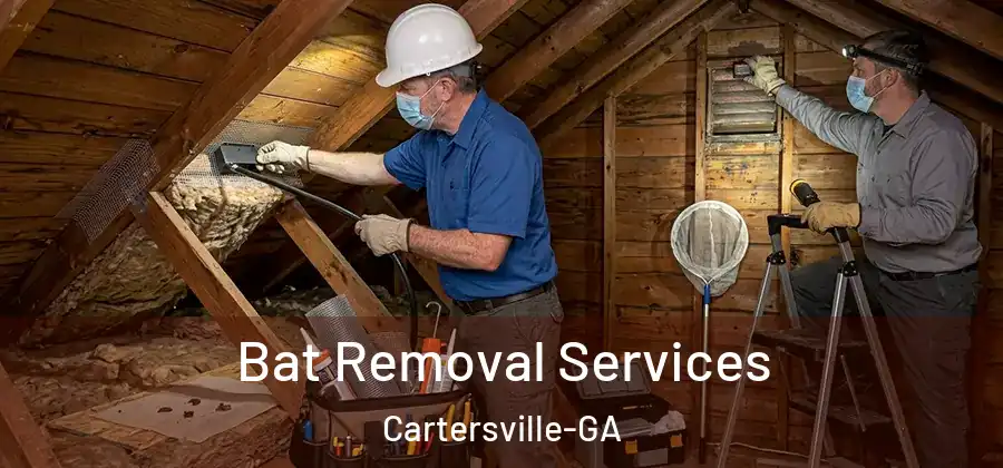 Bat Removal Services Cartersville-GA