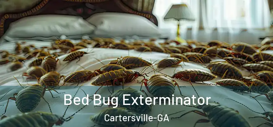  Bed Bug Exterminator Cartersville-GA