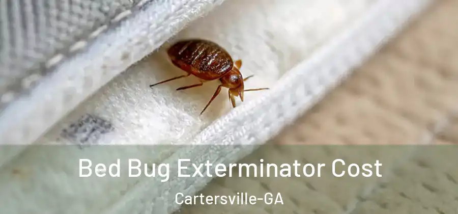  Bed Bug Exterminator Cost Cartersville-GA