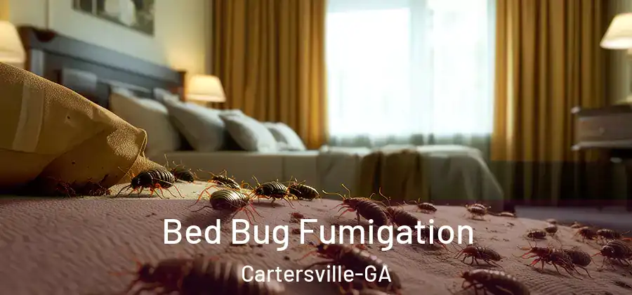  Bed Bug Fumigation Cartersville-GA