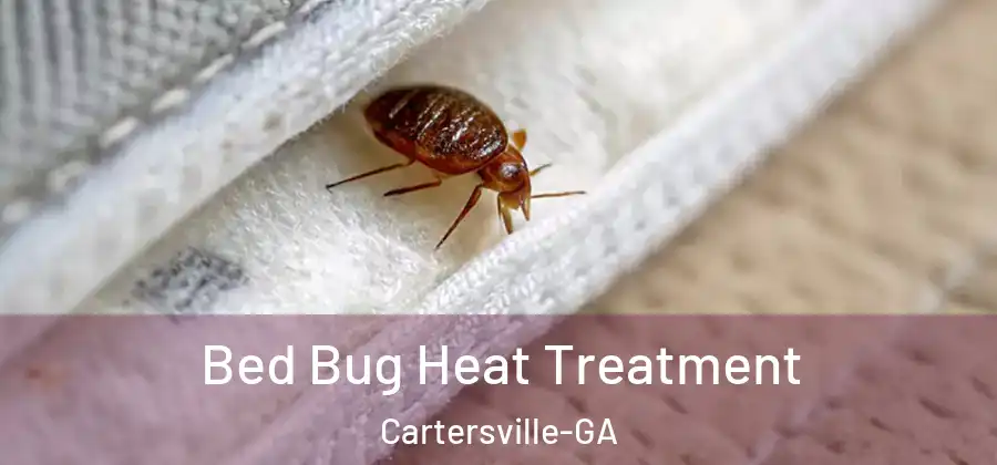  Bed Bug Heat Treatment Cartersville-GA