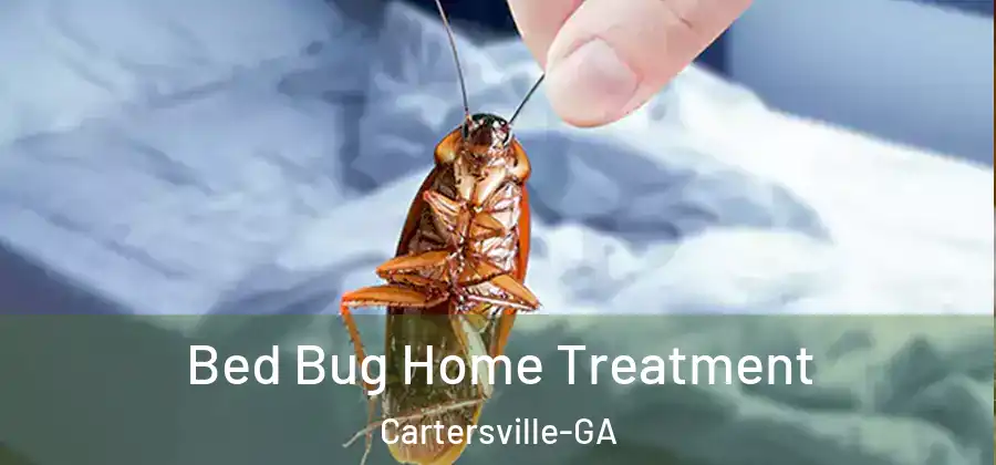  Bed Bug Home Treatment Cartersville-GA