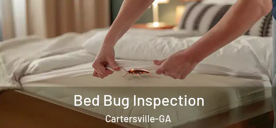Bed Bug Inspection Cartersville-GA