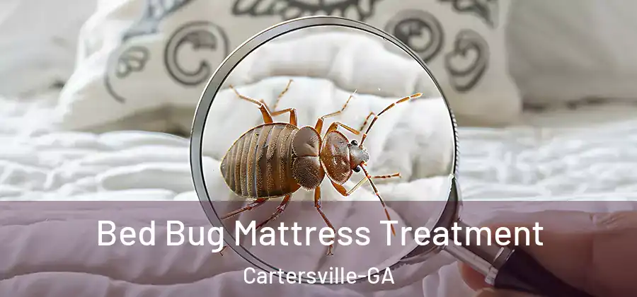 Bed Bug Mattress Treatment Cartersville-GA