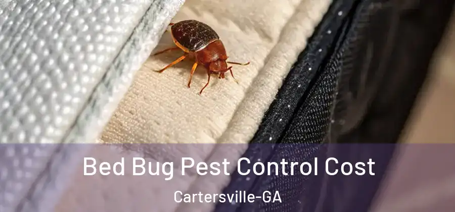  Bed Bug Pest Control Cost Cartersville-GA