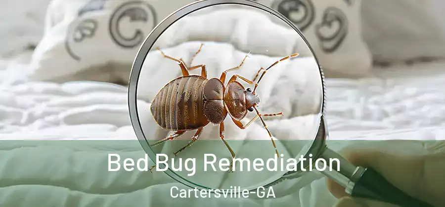  Bed Bug Remediation Cartersville-GA