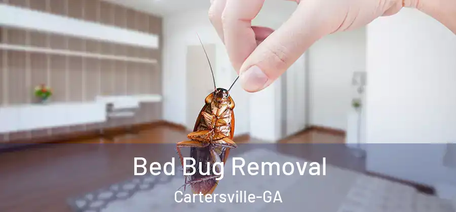  Bed Bug Removal Cartersville-GA
