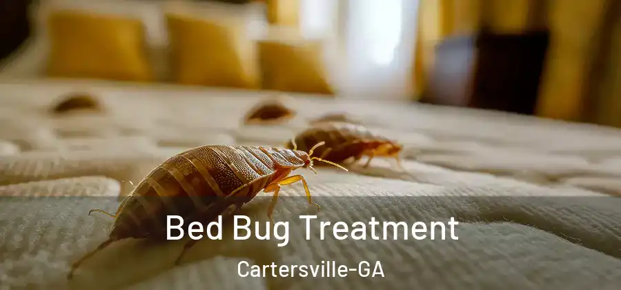  Bed Bug Treatment Cartersville-GA