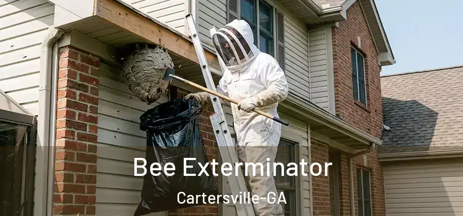  Bee Exterminator Cartersville-GA