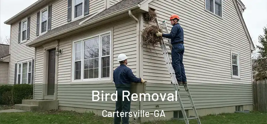  Bird Removal Cartersville-GA