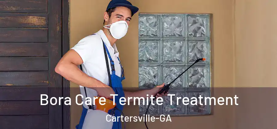  Bora Care Termite Treatment Cartersville-GA