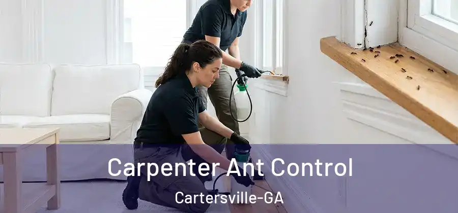  Carpenter Ant Control Cartersville-GA