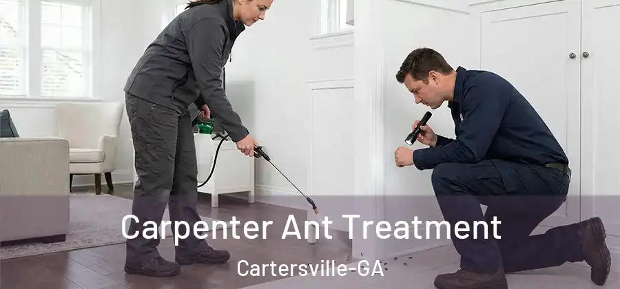  Carpenter Ant Treatment Cartersville-GA