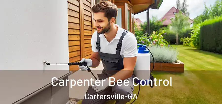  Carpenter Bee Control Cartersville-GA