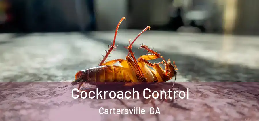  Cockroach Control Cartersville-GA