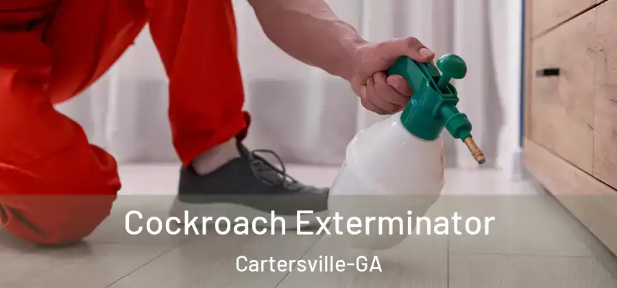  Cockroach Exterminator Cartersville-GA