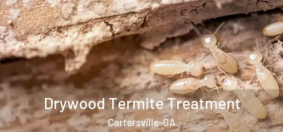  Drywood Termite Treatment Cartersville-GA