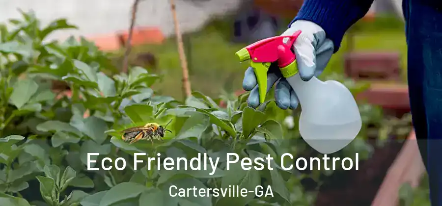 Eco Friendly Pest Control Cartersville-GA