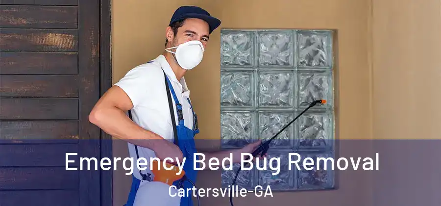  Emergency Bed Bug Removal Cartersville-GA