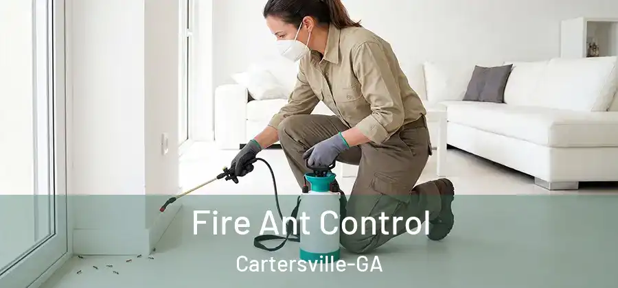 Fire Ant Control Cartersville-GA