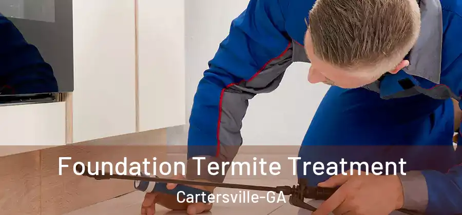  Foundation Termite Treatment Cartersville-GA