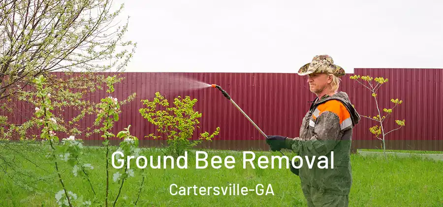  Ground Bee Removal Cartersville-GA