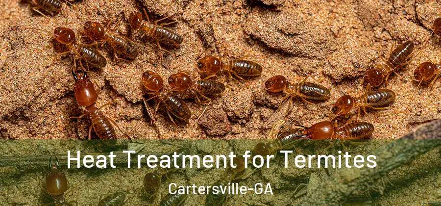  Heat Treatment for Termites Cartersville-GA