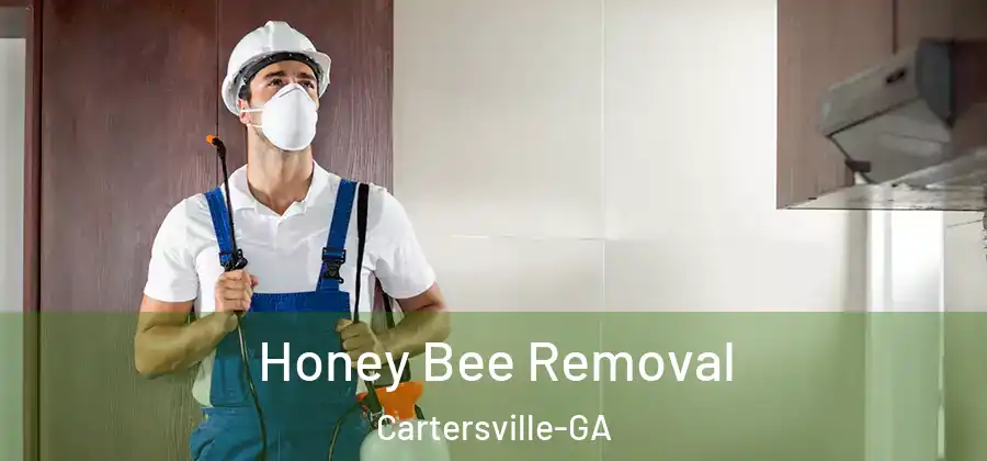  Honey Bee Removal Cartersville-GA