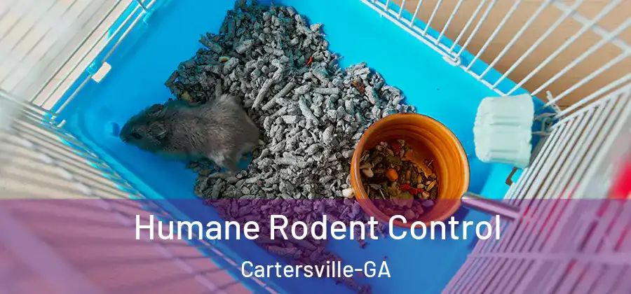  Humane Rodent Control Cartersville-GA
