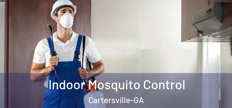  Indoor Mosquito Control Cartersville-GA