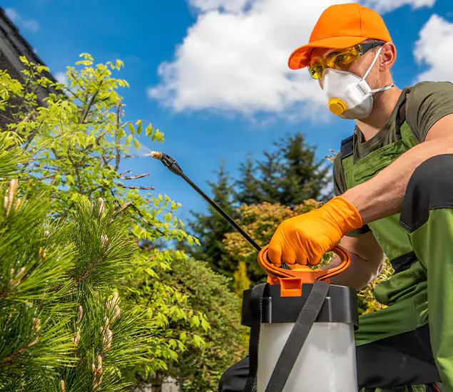 Your Mosquito Repellent Barrier Service in Cartersville, GA