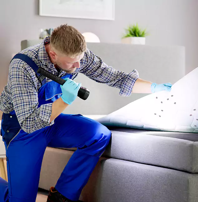 Why Choose Cartersville Pest Control Inc For Bed Bug Heat Treatment in Cartersville, GA?