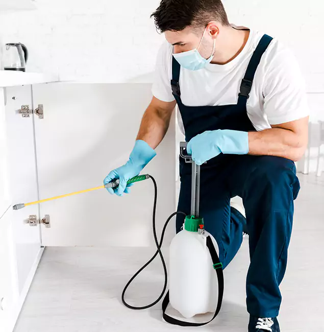 Why Cartersville, GA Homeowners Trust Us for German Roach Control?