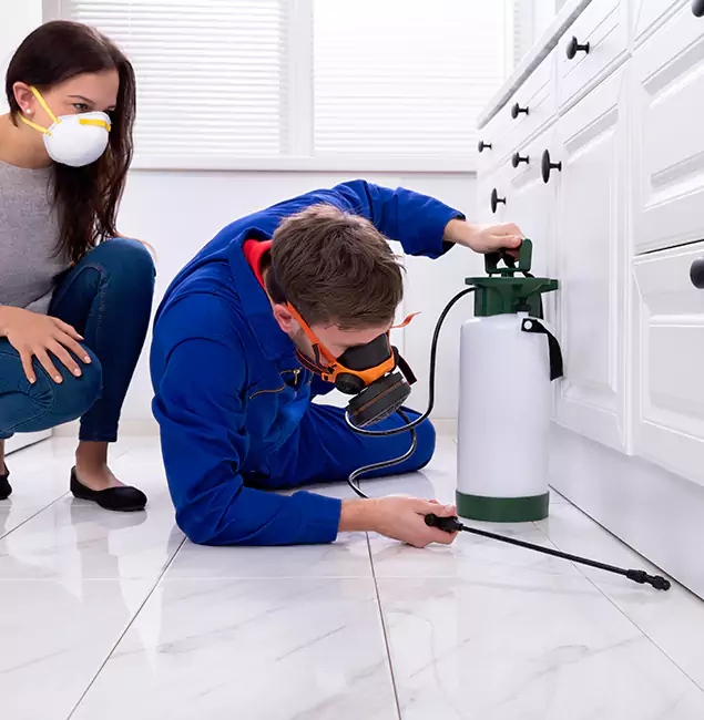 Why Cartersville, GA Homeowners Trust Cartersville Pest Control Inc for Roach Control?