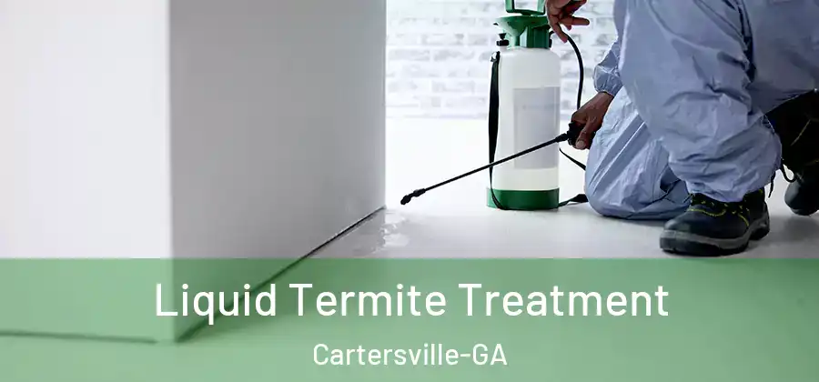  Liquid Termite Treatment Cartersville-GA