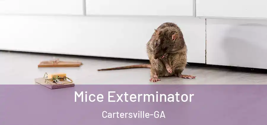  Mice Exterminator Cartersville-GA