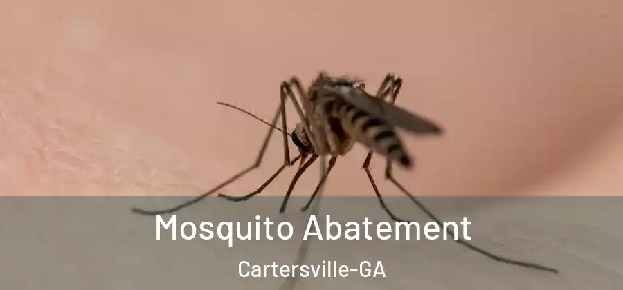 Mosquito Abatement Cartersville-GA