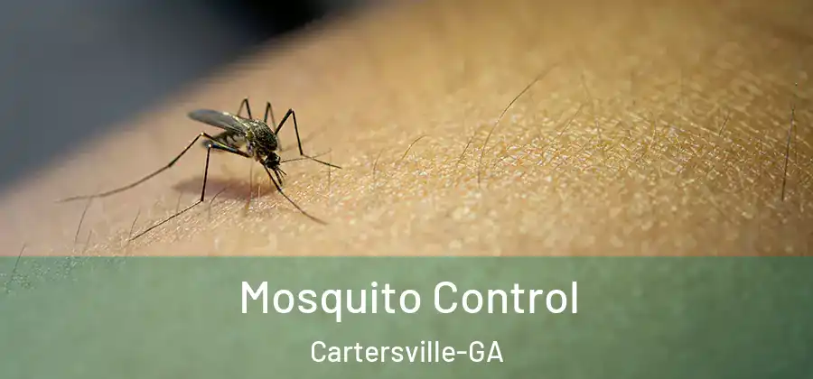  Mosquito Control Cartersville-GA