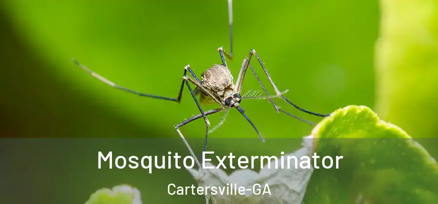  Mosquito Exterminator Cartersville-GA