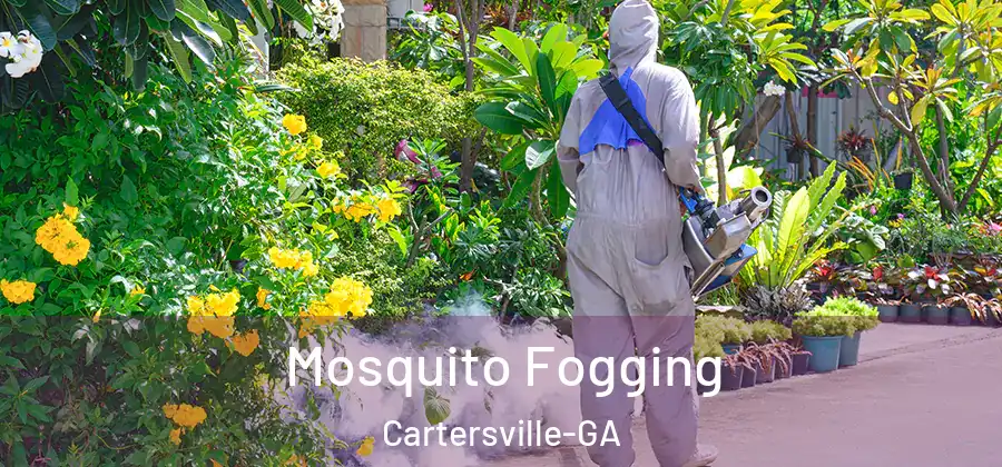  Mosquito Fogging Cartersville-GA