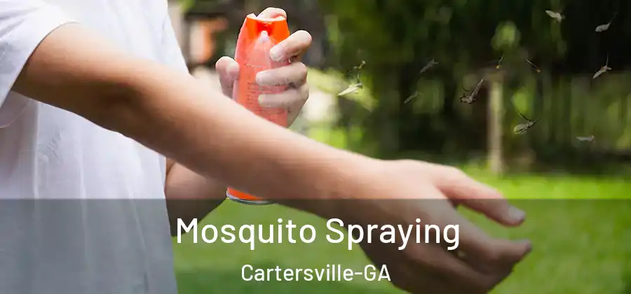  Mosquito Spraying Cartersville-GA