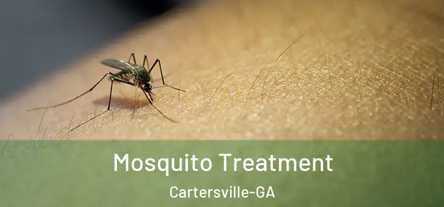 Mosquito Treatment Cartersville-GA
