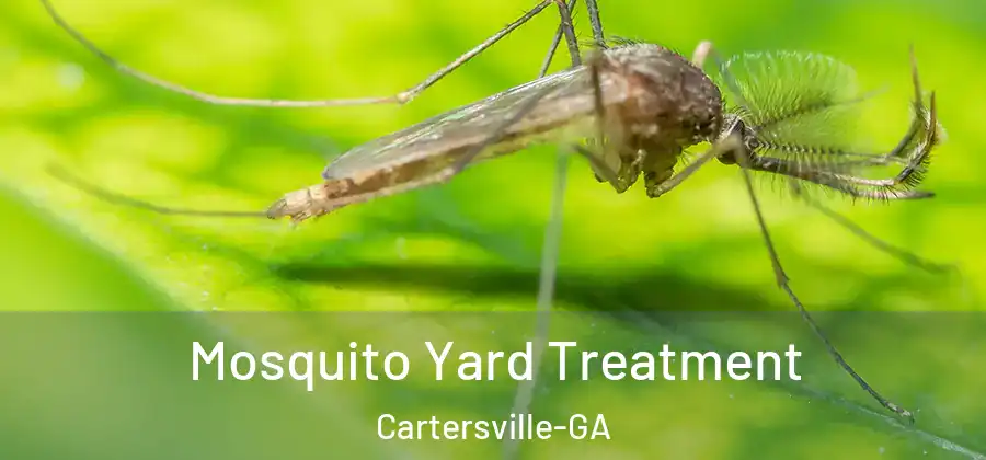  Mosquito Yard Treatment Cartersville-GA
